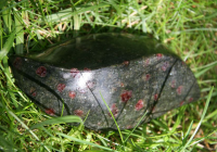 Granat Peridotit Granat Peridotit