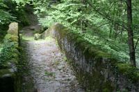 Isubrische Linie Isubrische Linie
