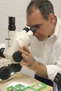 Bernhard Bruder Bernhard Bruder