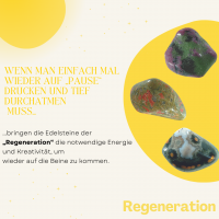 Insta Regeneration Insta Regeneration